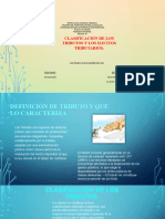 Tema-5-CLASIFICACION DE LOS TRIBUTOS Y LOS ILICITOS TRIBUTARIOS.