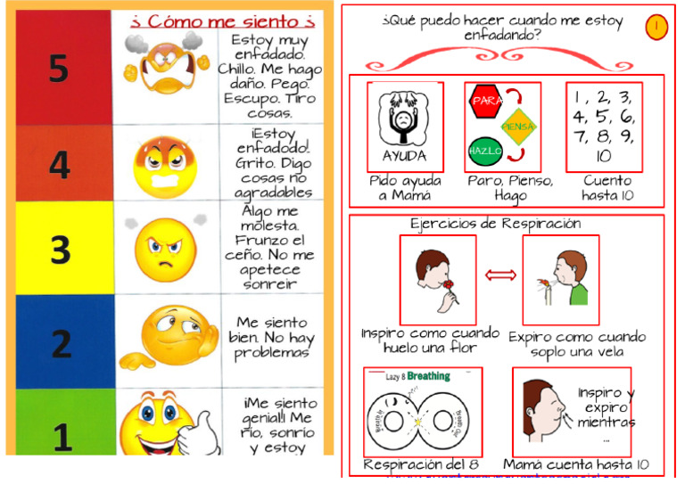 Autocontrol | PDF