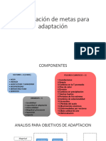 Analisis para Meta de Adaptacion