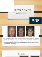 Tipologia + Padrao Facial