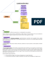 Clasificacio¿Ón Virus