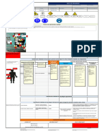 FOHSE-02 Nuevo (Template-Descargar-No Usar Directamente) Físicos Biologicos