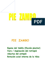 23-11 Clase Pie Zambo