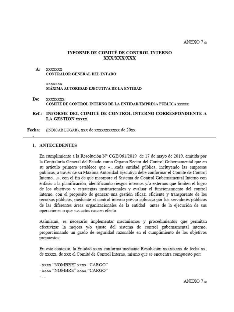 Informe del Comité de Control Interno | PDF | Planificación | Información