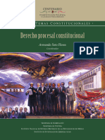 Derecho Procesal Constitucional: - Grandes Temas Constitucionales