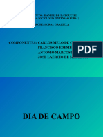 Dia de Campo