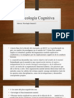 Psicología Cognitiva - Colombo.2022