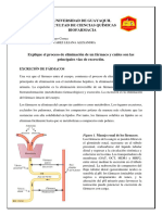 Proceso de Eliminación de Un Fármaco y Principales Vías de Excreción