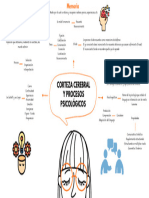 Corteza Cerebral y Procesos Psicológicos