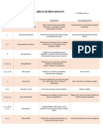 Areas Principales de Broadmann