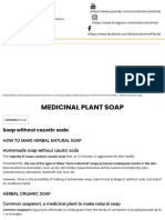 Medicinal Plant Soap - Botanical Online