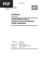 2019.05 UAS Guidelines February 2019-FINAL 2