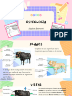 Osteología Curso AV