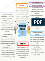 Organizador Grafico Sesion 1