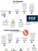 Ruta de Atencion Materno Perinatal Linea Del Tiempo