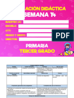 Semana 14