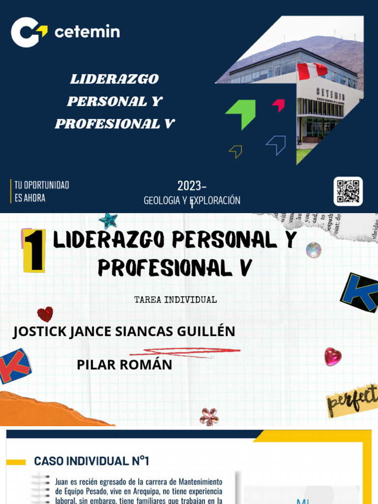 Liderazgo Personal y Profesional V | PDF