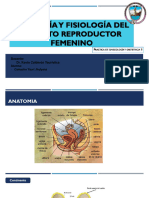 Anatomia y Fisiologia Del Aparato Reproductor Femenino