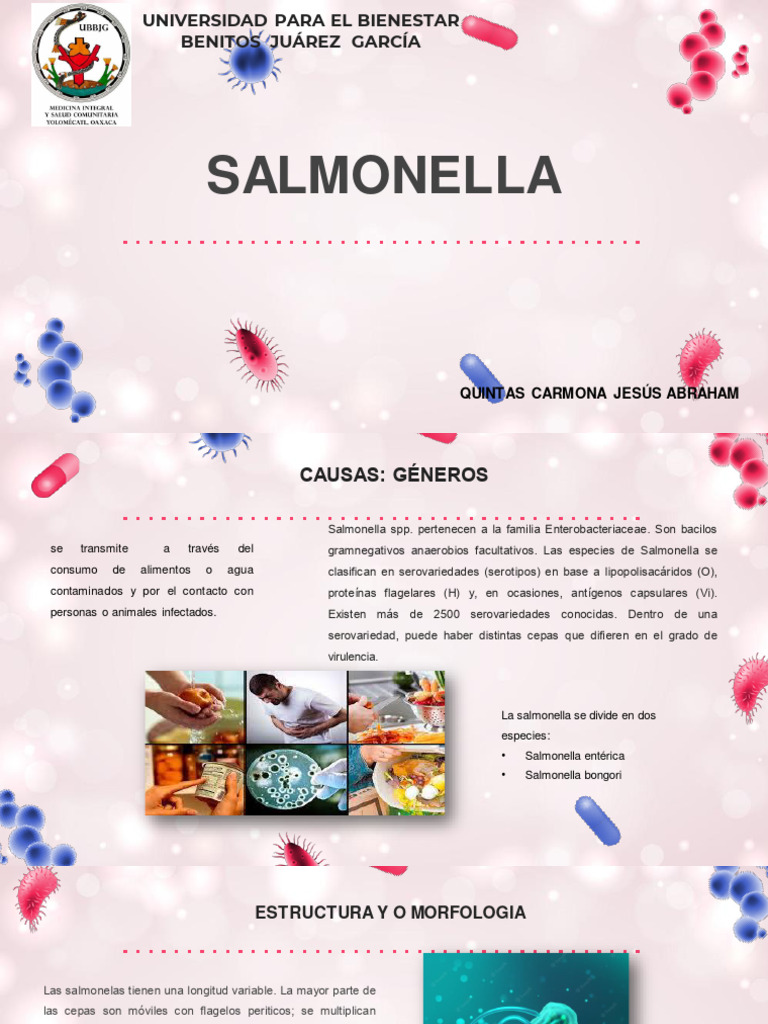 Estructura y morfología de Salmonella | PDF | Salmonela | Inmunología