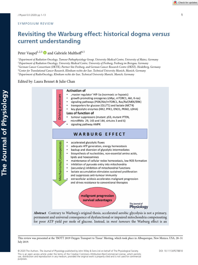 Revisiting The Warburg Effect PDF Glycolysis Cellular Respiration