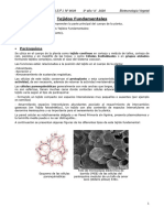 Tejidos Fundamentales