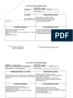 Plan de Visita Domiciliaria Pae