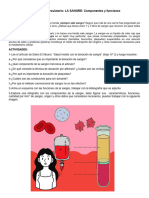 29.SISTEMA CIRCULATORIO 2docx