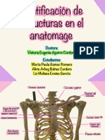 Identificacion de Estructuras, Trabajo en Grupo