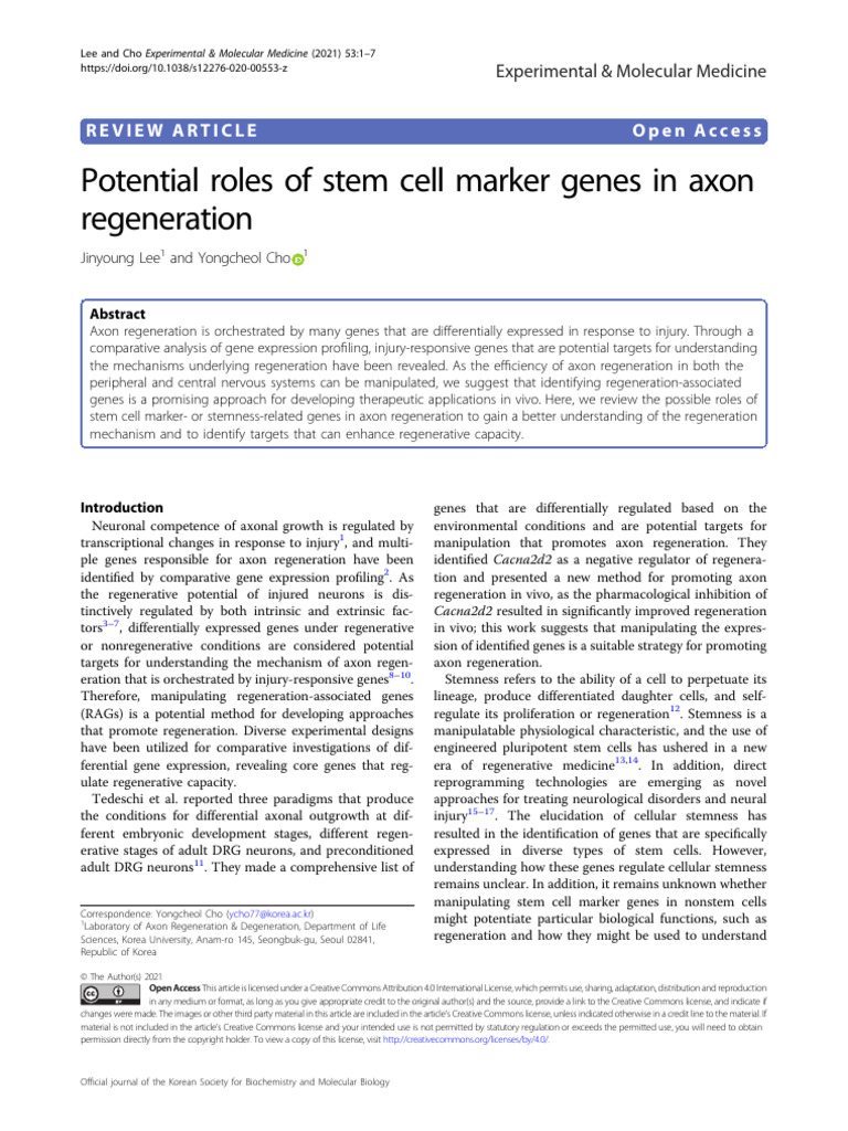 2021 Potential Roles of Stem Cell Marker Genes in Axon Regeneration PDF Neuron Nervous System