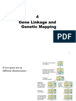 CH 4 Gene Linkage Recombination Analysis