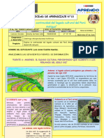 13 - Explicamos La Continuidad Del Legado Cultural Del Perú Antiguo.