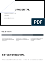 Sistema Urogenital