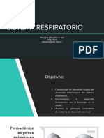 Sistema Respiratorio