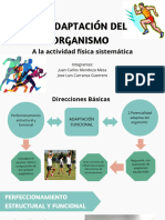 Adaptación Del Organismo A La Actividad Física Presentación