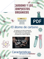 Carbono y Los Compuestos Organicos