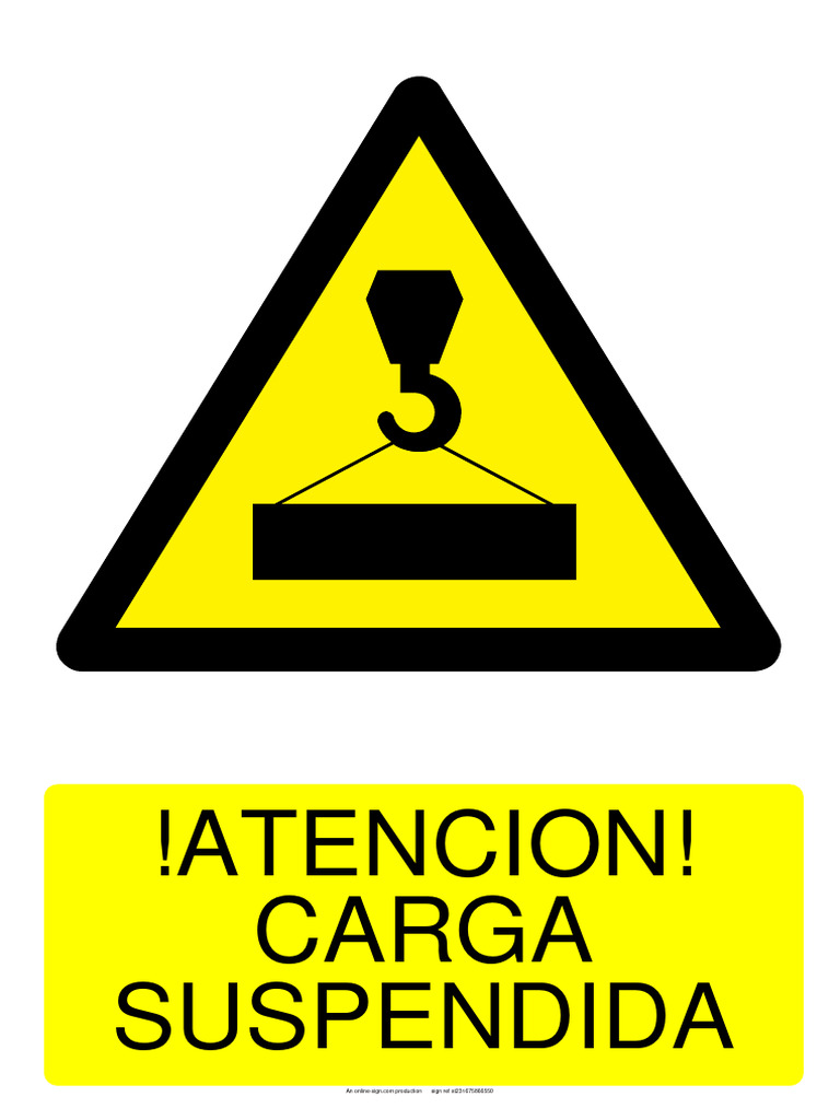 Carga Suspendida PDF