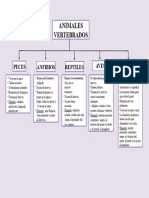 Mapa Conceptual de Los Animales Vertebrados 3