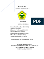 Makalah Paradigma Keperawatan Kelompok 2