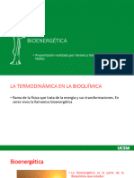 3clase Teórica Bioenergética 2023