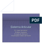 Sistema Articular