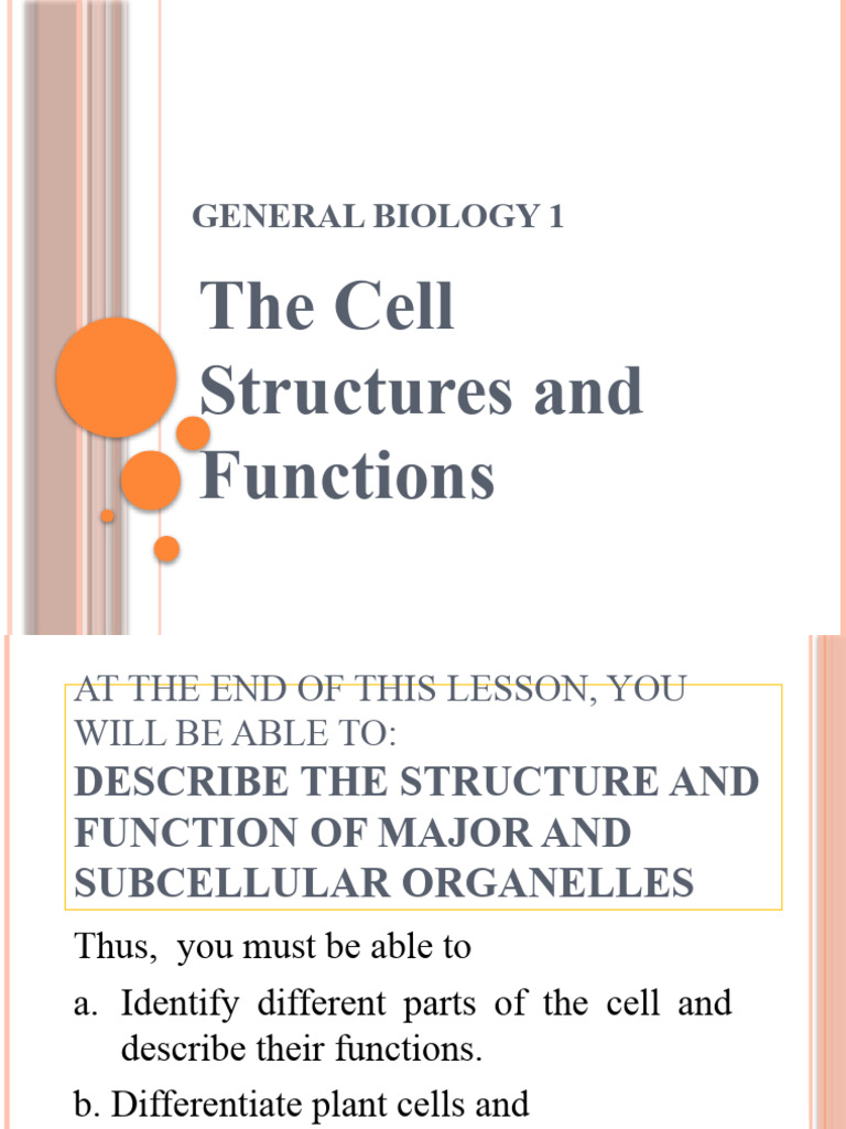General Biology 1 Cell Structure | PDF | Mitochondrion | Cell (Biology)