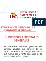 Funciones Cerebrales