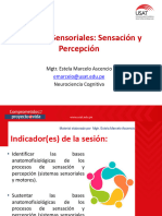 ) Procesos Sensoriales