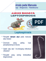 Materi Leptospirosis Pati