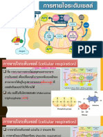 การหายใจระดับเซลล์