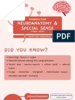 Introduction Neuroanatomy and Special Sense (Lingua, Nasi)