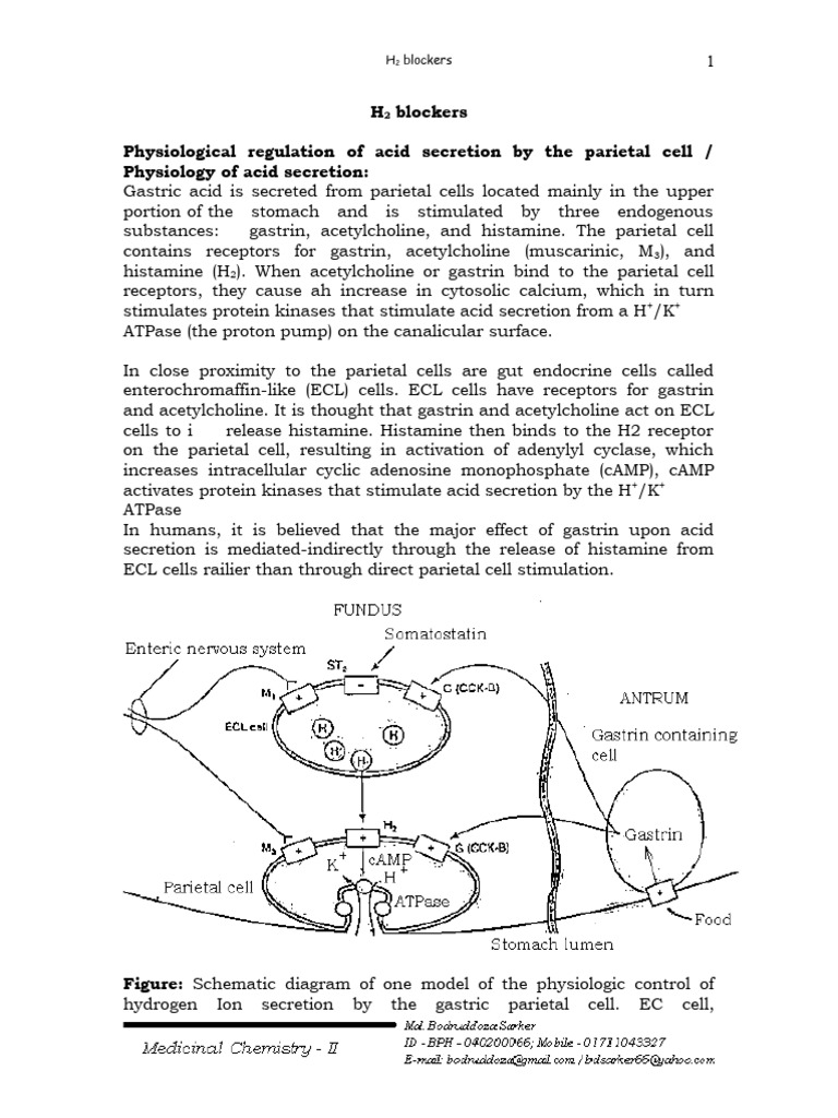 H2 Blockers PDF Acetylcholine Biochemistry