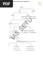 1 Number System Assignment (Class 1)