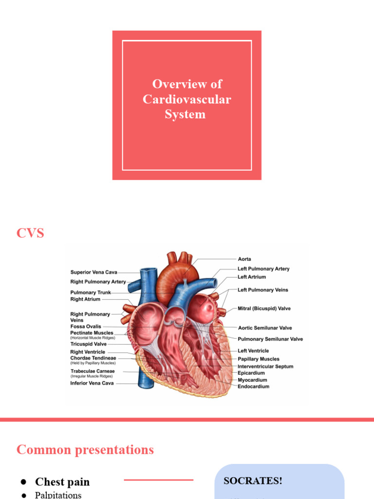 (1A) EOCP Block 1 - Cardio Lecture | PDF | Myocardial Infarction ...