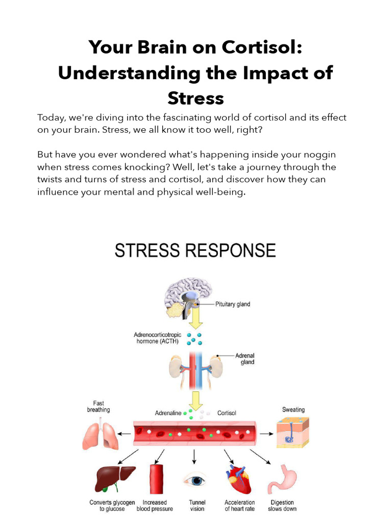 Your Brain On Cortisol Understanding The Impact of Stress | Download ...